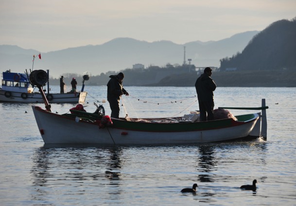 Karadeniz'deki canlı türleri yok oluyor