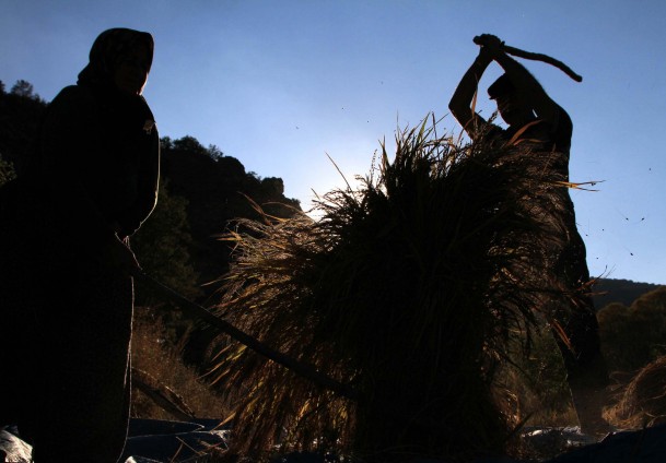Çiftçinin takipteki kredisi artıyor