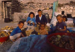 Karacadağ'ın eteklerinde: Yeşilyurt