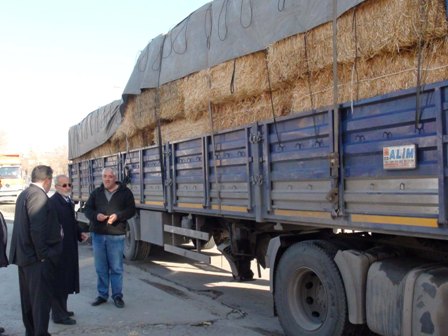Ukrayna’dan saman ithal ettik