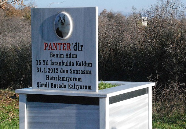 Ölen kedisi için tarla alıp, mezar yaptırdı
