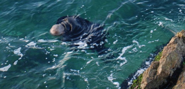 Midilli adasında 18 ceset bulundu