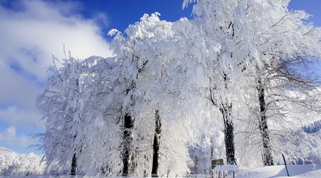 Elazığ'da okullar 1 gün tatil edildi