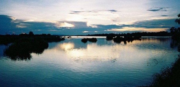 Mekong nehri çevresinde 129 yeni tür bulundu