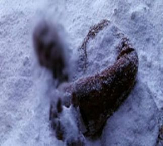 Ukrayna'da şiddetli soğuklarda 37 kişi öldü