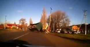 Kamyondaki inekler yola savruldu