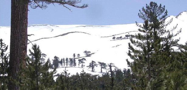 Dağda kaybolan 2 köylü kurtarıldı