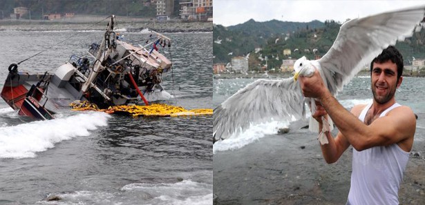 Yan yatan tekneyi bırakıp martıyı kurtardılar