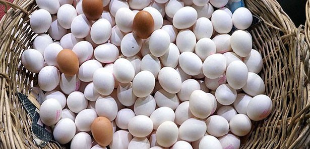 Bakkallar artık yumurta satamayacak