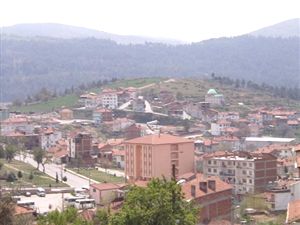 Bu ilçede her şey bedava