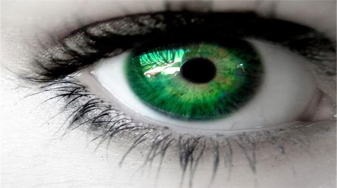 Kornea ithali umut oldu