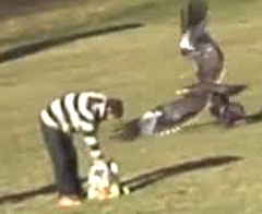 'Boş beşik' görüntüleri montaj çıktı