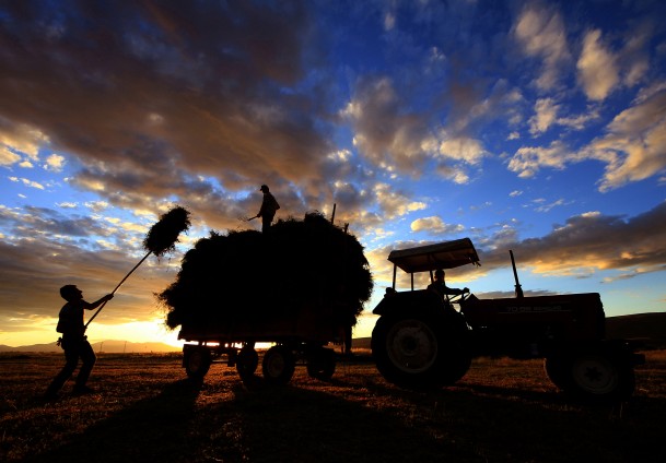 ABD'li çiftçinin tercihi Türk traktörü