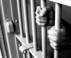 Cinayet fabrikası denilen örgütün liderine hapis!