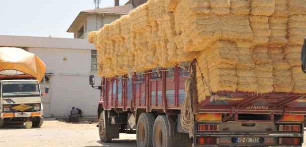 Yaban hayvanları için yem bırakıldı