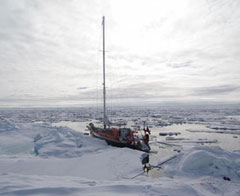 Balıkçılar, arkadaşlarının etini yedi