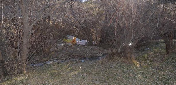 Ağaçların arasından 164 kilo esrar çıktı