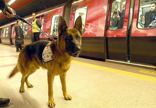 Köpek burnu hassasiyetinde dedektör