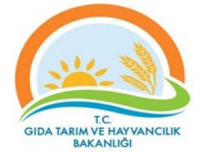 Kamuya 2600 sözleşmeli personel alınacak