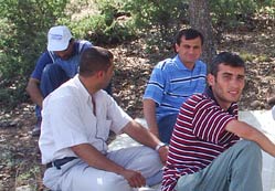 AK Partili gençler piknikte buluştu