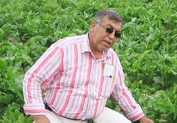 Pancar çiftçisi bitirilmek isteniyor