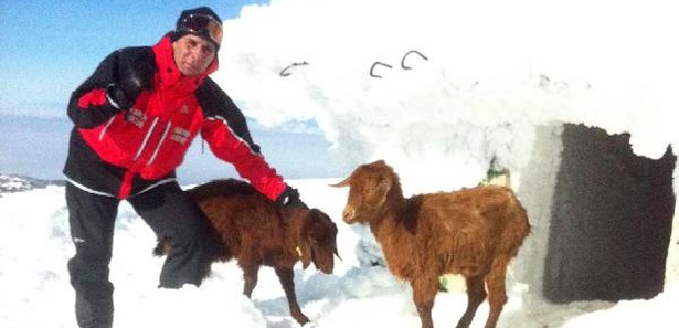 Uludağ'da keçi kurtarma operasyonu