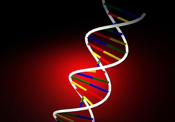 İspanya'da göçmenlere DNA testi