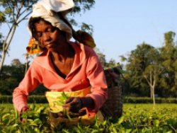 Hintli işçiler patronunu ve karısını yaktı