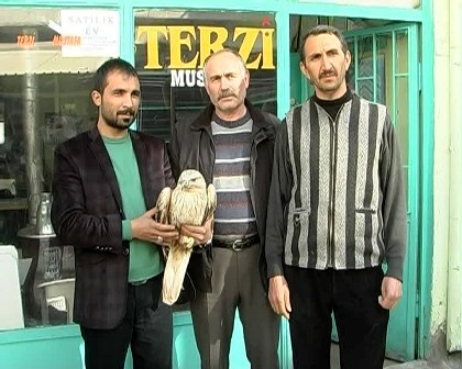 Yaralı kartalı yetkililere teslim ettiler