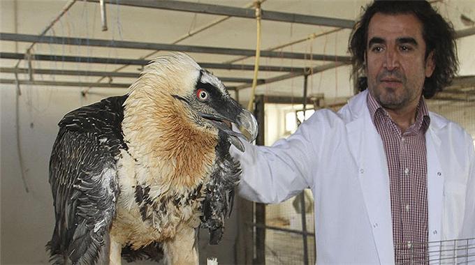 Sakallı Baba Lokman Hekime emanet