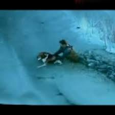 Buza sıkışan köpek için seferber oldular