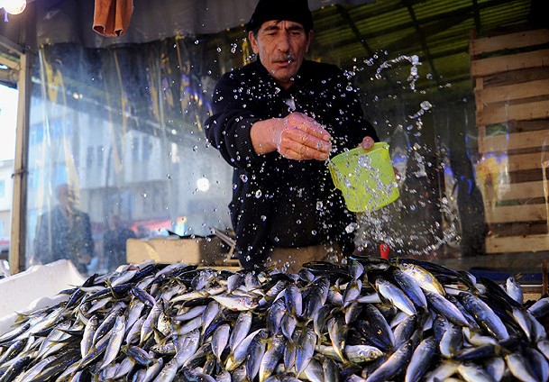 Hamsiyi bırak, istavrite bak