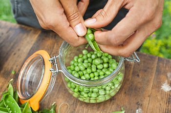 Bezelyenin kalbe yararları