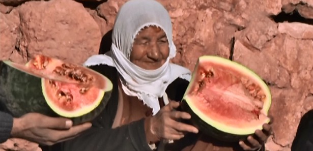 Güneydoğuda kış ortasında karpuz keyfi!