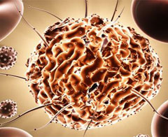 2012'nin dünyayı değiştirecek buluşları