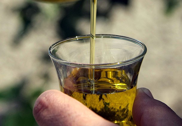 Omega asitlerince zenginleştirilmiş yağ üretti