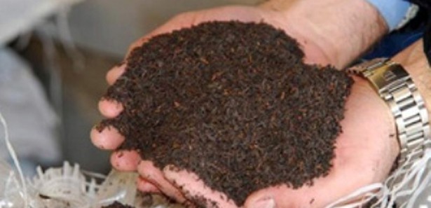 Kaçak çay 30 kat arttı hayvan dışkısı içiyoruz!