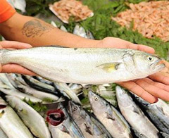 Denizi olmayan kent balıkçılıkta iddialı