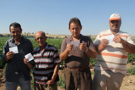 Konya'da patates saadeti