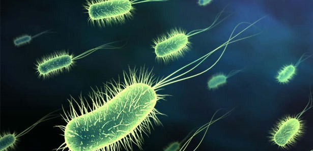 Bakterilerlerin direnciyle ilgil yeni bir keşif