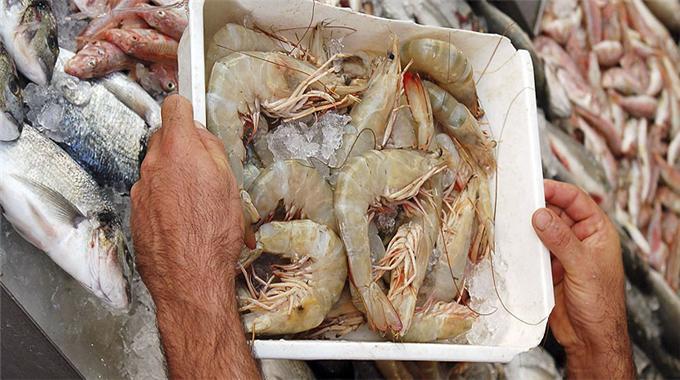 Dünya bulamıyor biz yem yapıyoruz