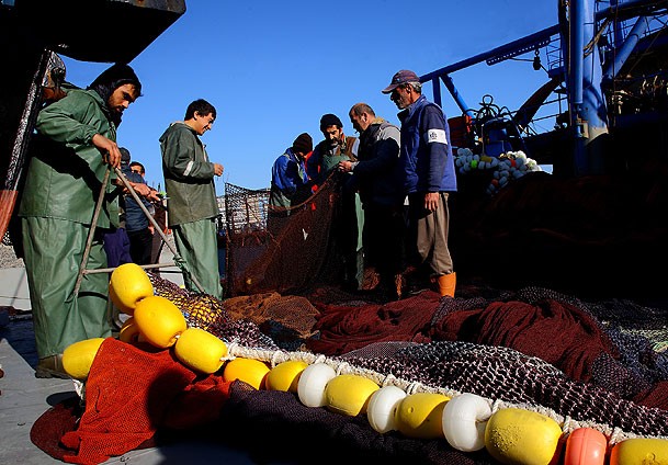 Karadeniz'de hamsi yolculuğu