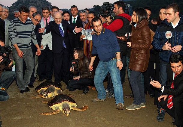 Bayraktar 2 caretta carettayı denize bıraktı