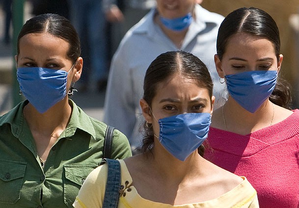 Domuz gribinden ölümler artıyor