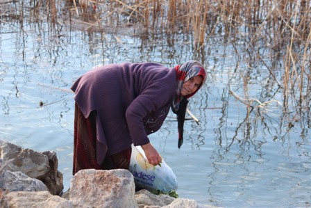 Güneyik otu mesaisi