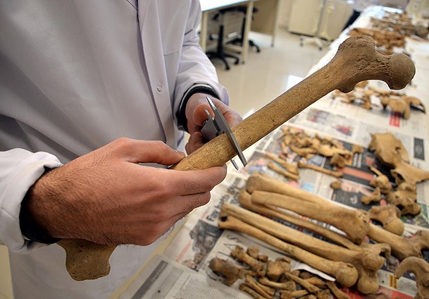 Fosillerin sırrını araştırıyorlar