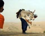 Sırtında eşekle antrenman yapıyor