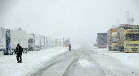 Muş'ta hasta kurtarma operasyonu