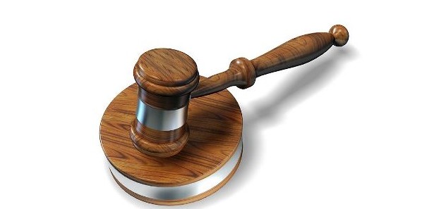 Pitbull davasında köpek sahibine hapis cezası