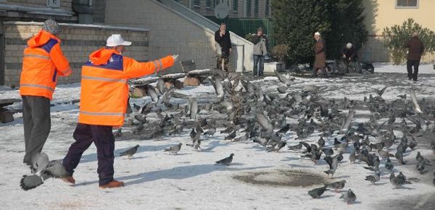 Sokak hayvanları karda unutulmadı